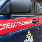 Сельские депутаты занялись посадками