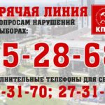 День выборов: голосуют бюджетники, работники МУПов, полиция… Прямой эфир