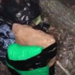 В  Ульяновске задержали наркокурьершу с  5 кг марихуаны