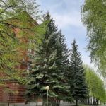 Открытое обращение к Губернатору Ульяновской области