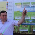 Земли «Лаишевских овощей» возвращаются в региональную собственность