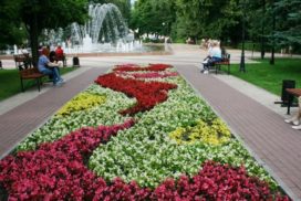 <strong>В Ульяновске на клумбах и цветниках высадят более одного миллиона растений</strong>