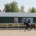 Бедненько, хиленько, стремненько…