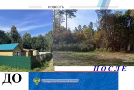 В Николаевском районе по требованию прокуратуры ликвидированы незаконные постройки в защитных лесах