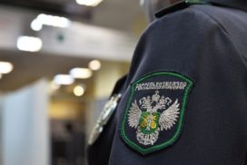 На 9 элеваторах Ульяновской области Россельхознадзор выявил нарушения при хранении зерна